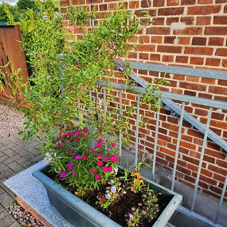 Unterwegs Ins Apartmenthaus Ehemalige Apartmenthaus Unterwegs 罗斯托克