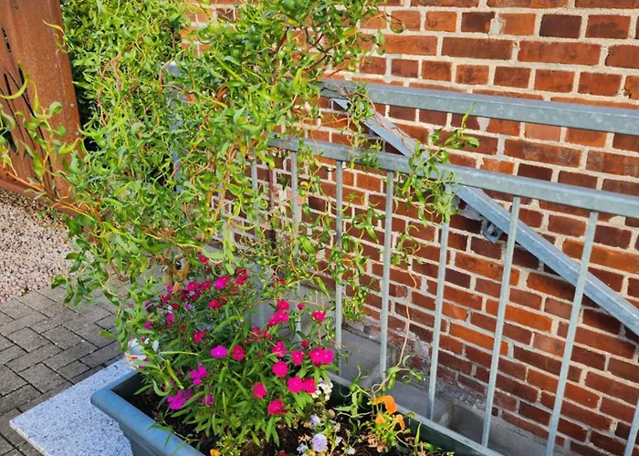 Unterwegs Ins Apartmenthaus Ehemalige Apartmenthaus Unterwegs Rostock